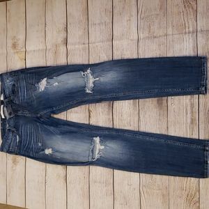 Eunina Maxwell Low Rise Skinny Jeans